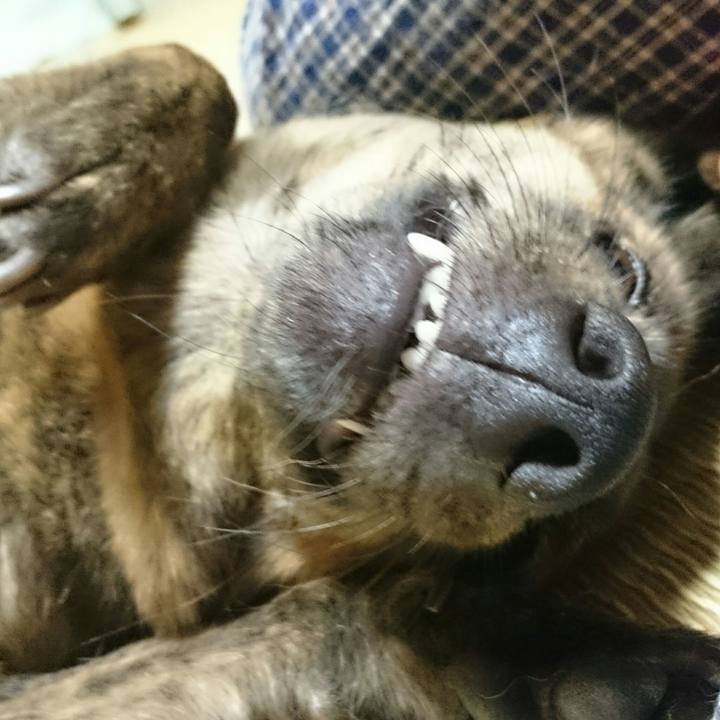 4601c25b 4061 4a79 8fb5 112d748431c9