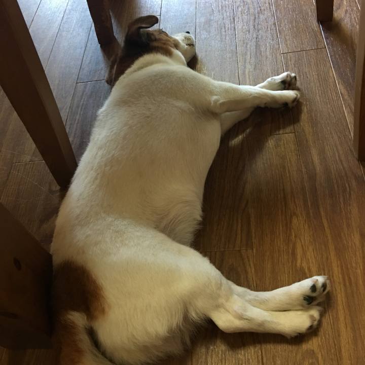 46027019 c81a 4113 a9f5 f3f89779dbdd