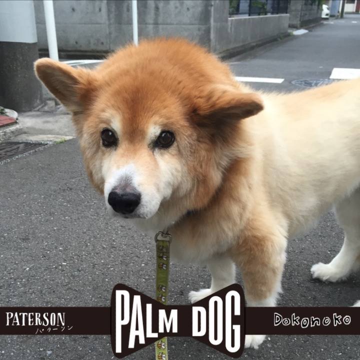 4602844c 51f7 4417 a099 e584b3fb2a95