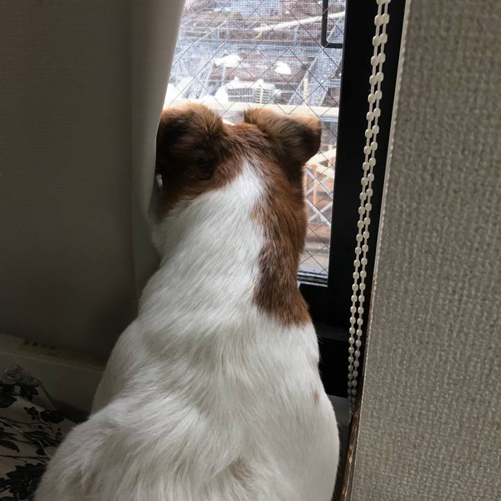 46029929 2c28 4025 8056 625a822705b5