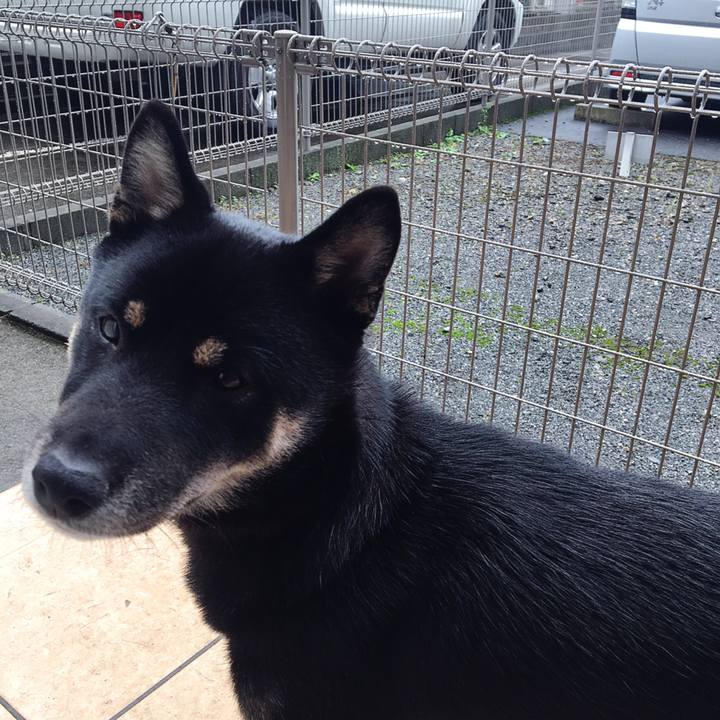 46036ffe 4379 4ff6 90bb eb5ab152f4b9