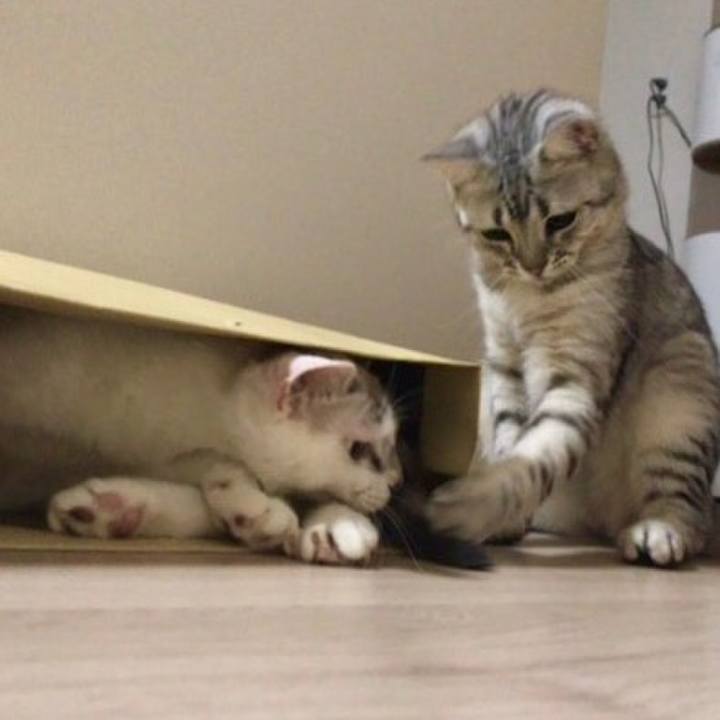 4604050b e79c 4d3b bf71 4304bdb15d9a