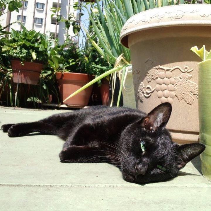 46042d5f 2c4a 4029 8c95 218490cbe610