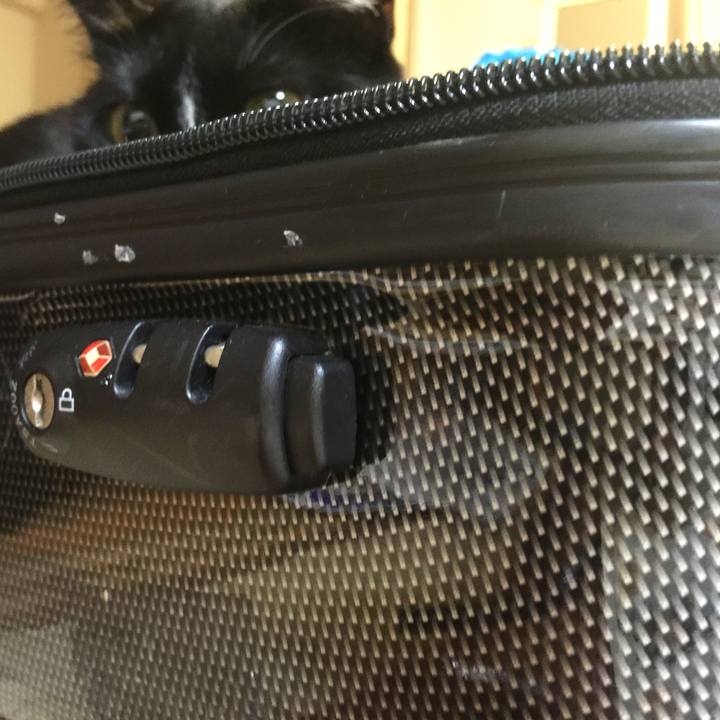 46046e25 bce8 4228 927d 8912d6513fc8