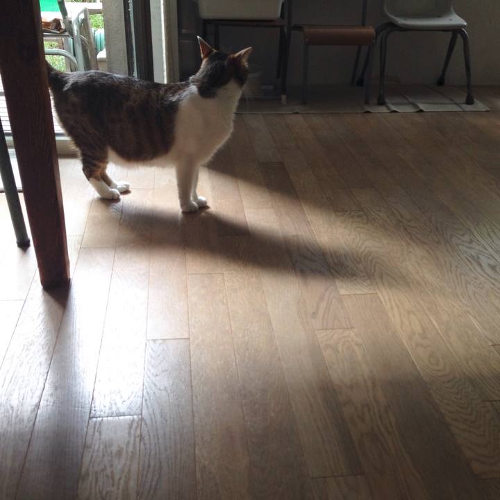 4604b5ee ff5e 410f 984a af4d997e10bd