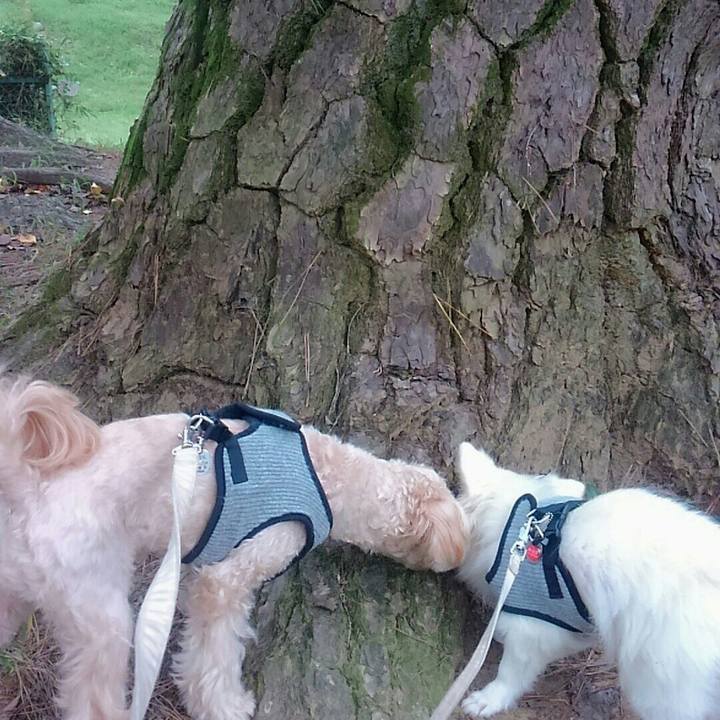 4604e8b4 fdf9 4969 978b 73cbce1cc691