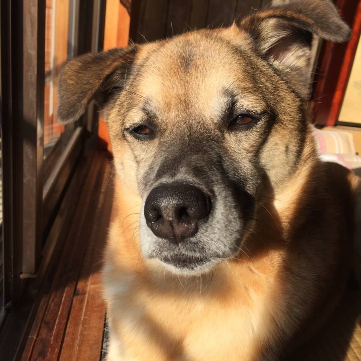 46054521 1007 4d6b 9e2c 5e4efab78734