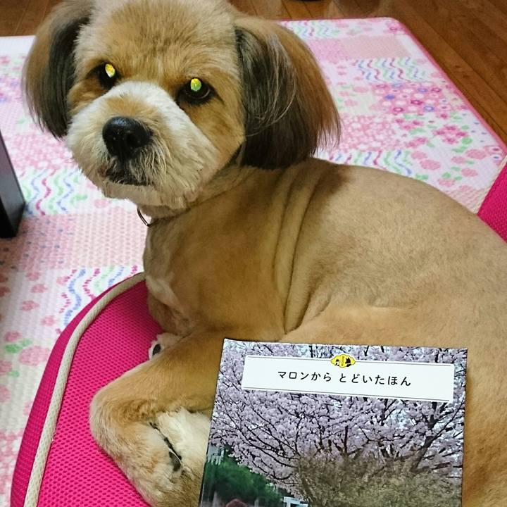 46054651 b058 4603 8b93 b058fed0844e