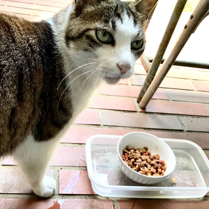 4605b5a9 3207 4341 9a30 5d352406de30