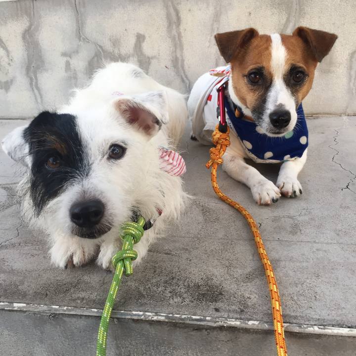 4606058f 454d 48d5 87b2 3ffc2fd00a9e