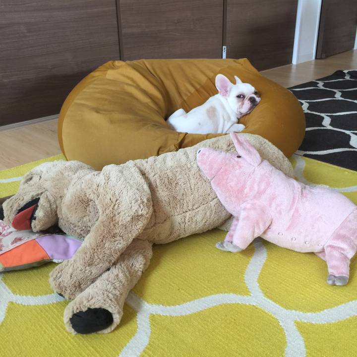 460623e7 2692 4deb ae0c fadad38f6c4c