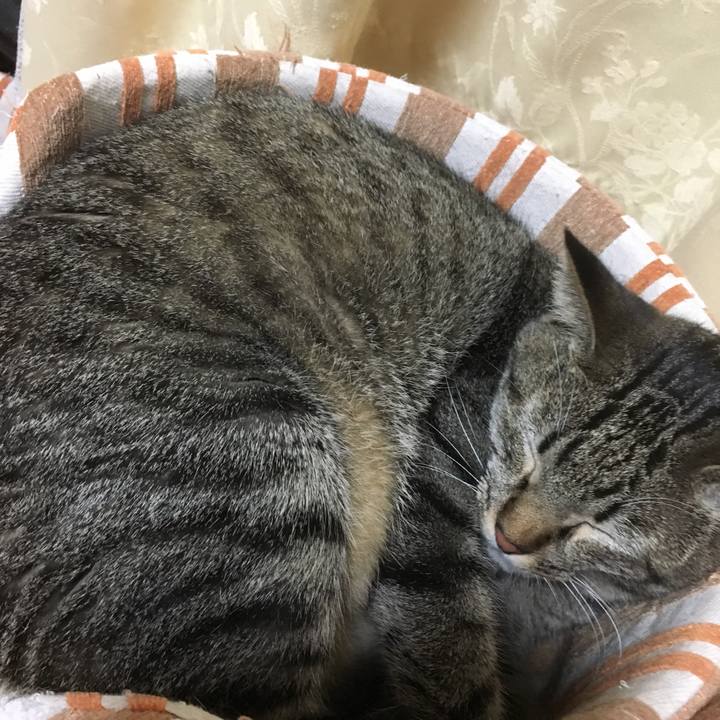 460633c1 225c 43f1 be9e c7081fb00a85