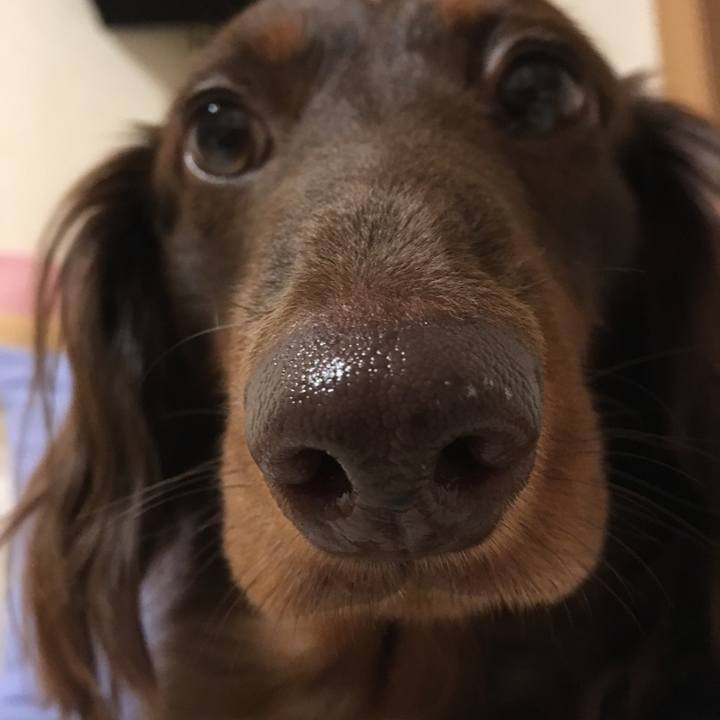 46065255 7897 407e ba40 bbc5803c100e