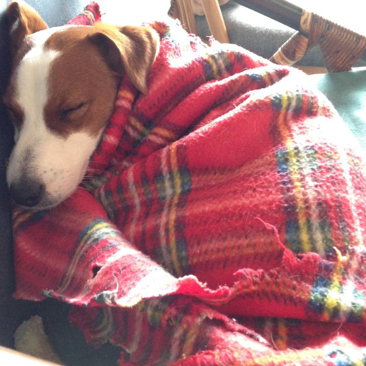 46065a3f ca77 43d9 8a4a c66f6c3ca1a6