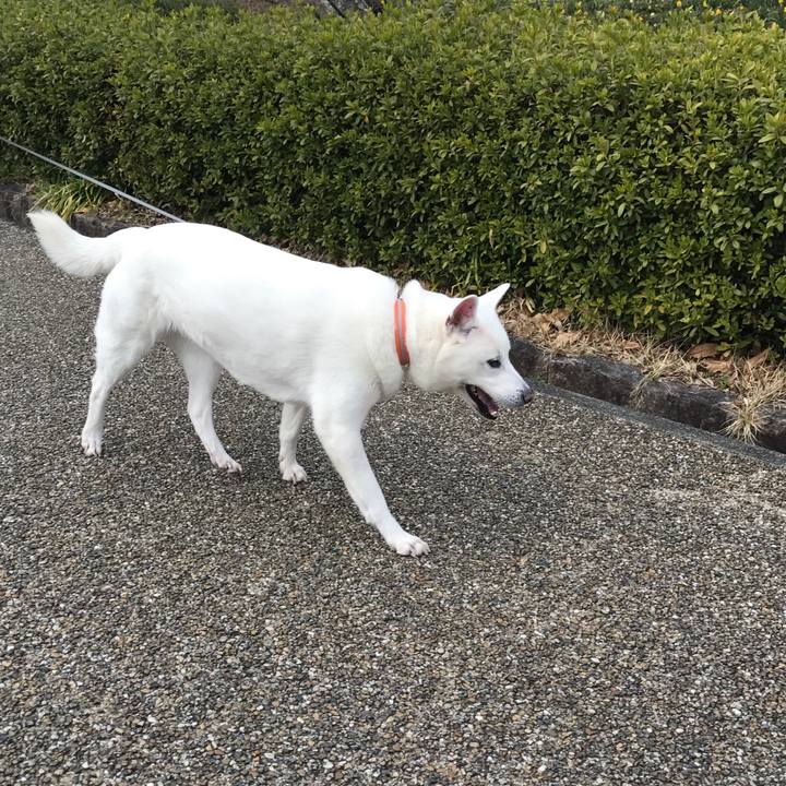 46087915 f0bd 4c0a ab4f e7b55f99cccd