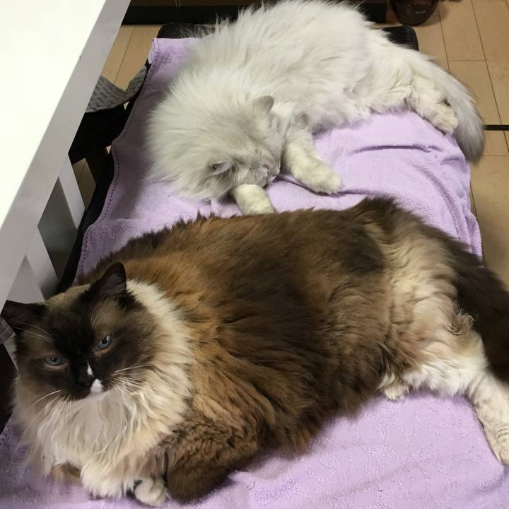 4608b8ae a76a 442d 8358 2a9c374a366b