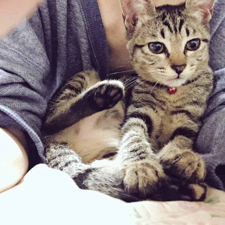 4609517e ca25 406b a696 5a83c501c21d