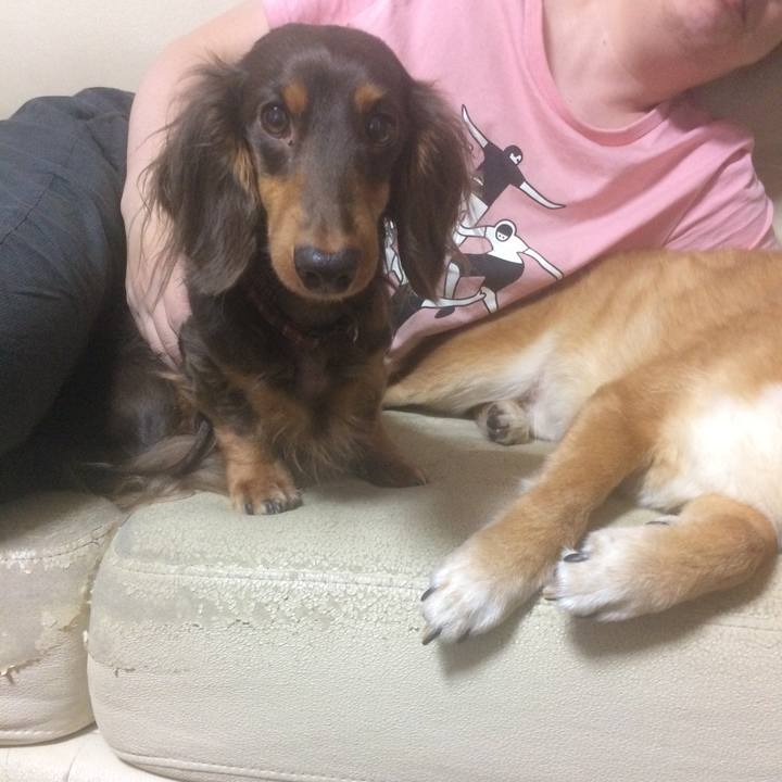 46098a1d 1764 4c85 a3f8 3bcc3cfa5051