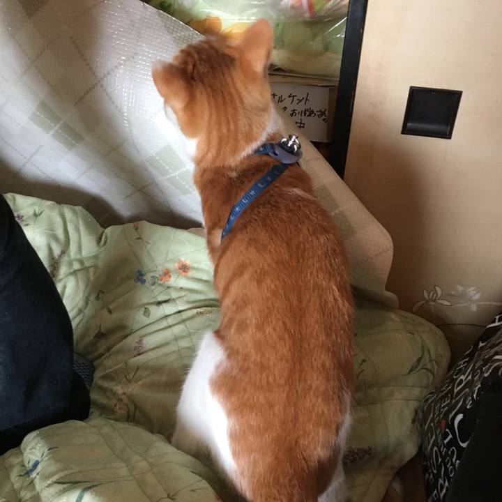 4609ff4a 108d 4182 b4f8 c3a021a3b9b7