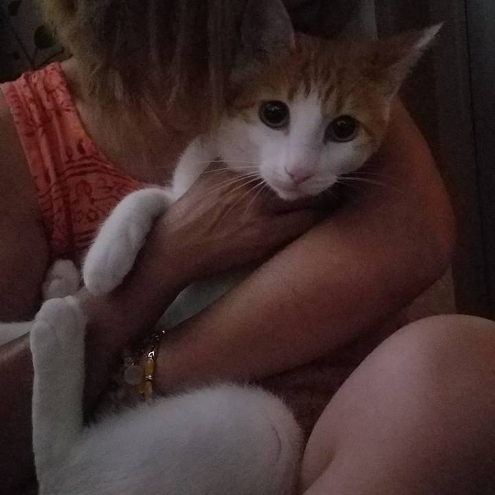 460a26f2 8244 4155 b781 8d4597975ed8