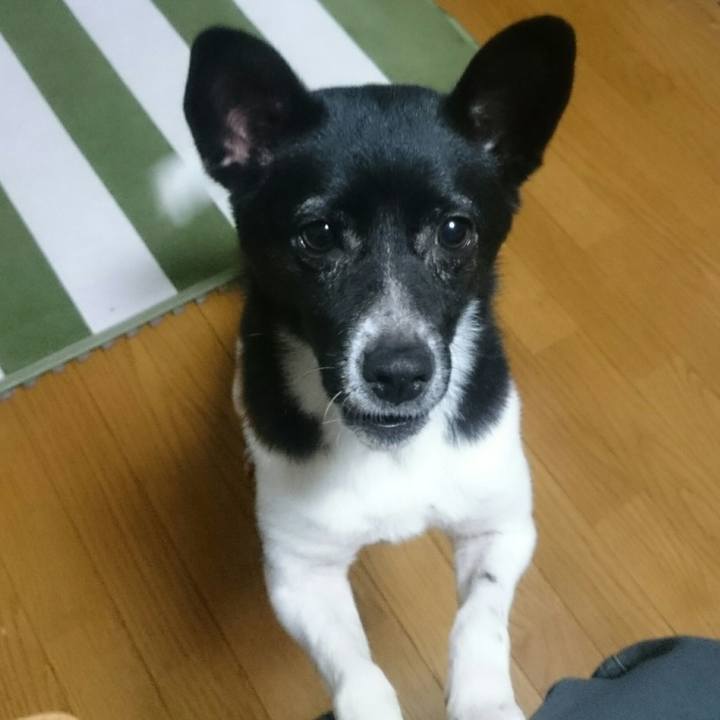 460a6bdb 7e0d 4fcb aed9 38c4d3e72f3c