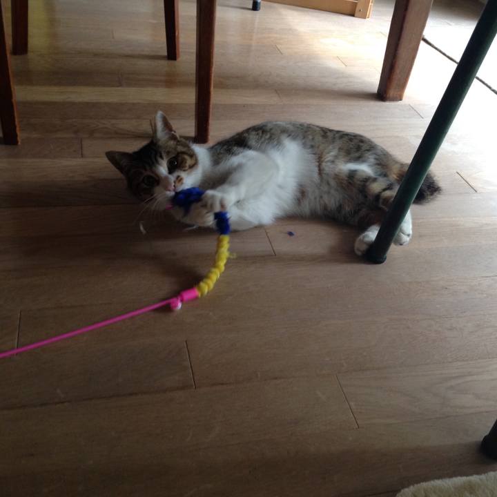 460b6fe3 58f0 4599 8181 3d96b948973e