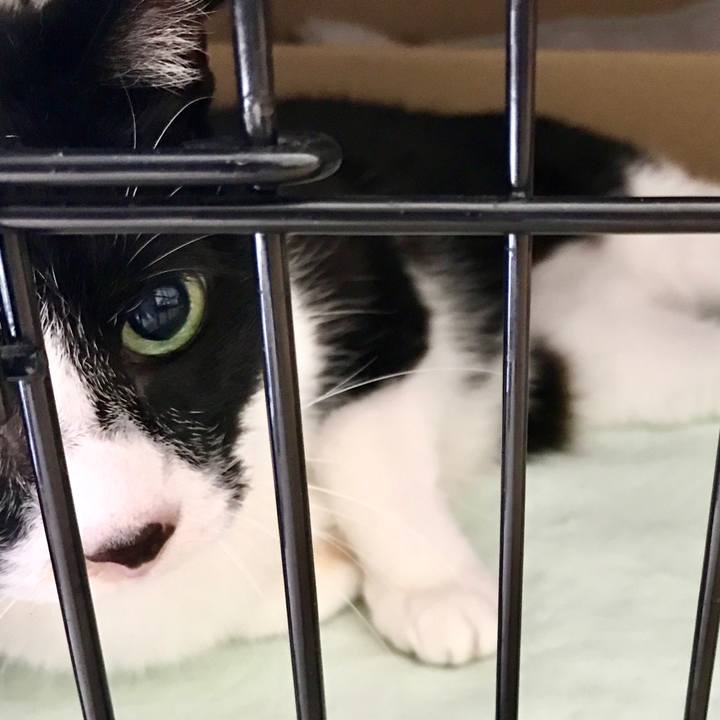 460b9255 49df 4c99 aff9 df5cf9c93699