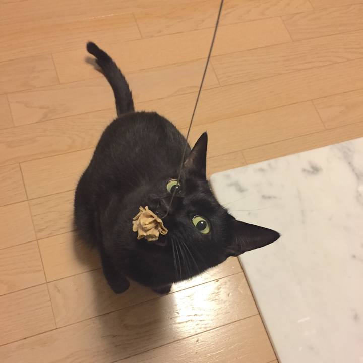 460bcb63 45eb 47a7 a202 7fc2cea80919