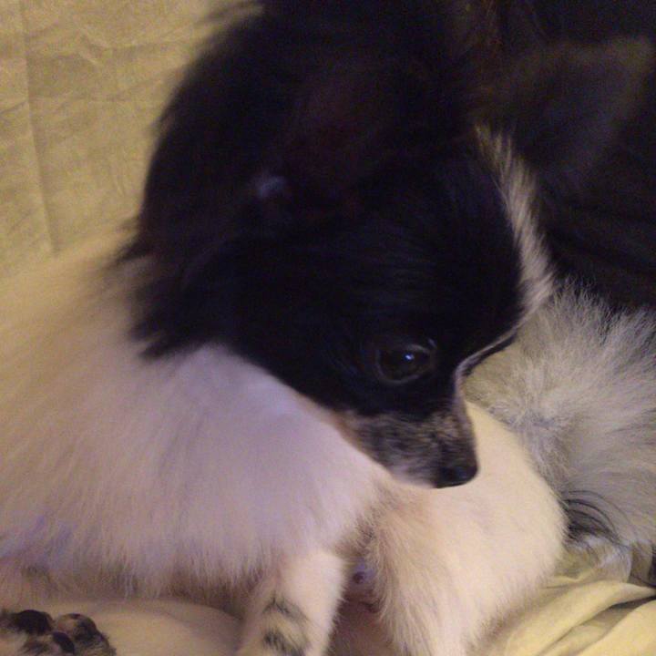 460d64df b1aa 4be6 a32d a832fea196a2