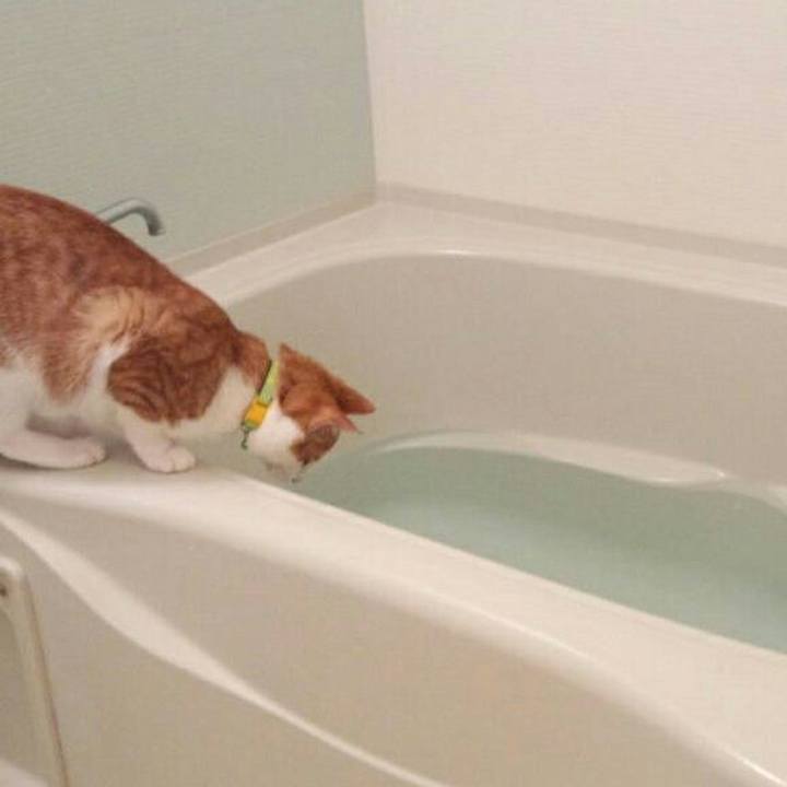 460dd788 117a 45a9 b79a 925c5038412c