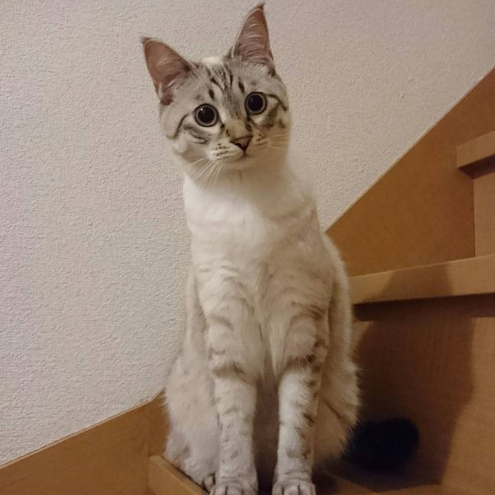 460ddac0 754c 4912 ad23 aa82b86c5ab8