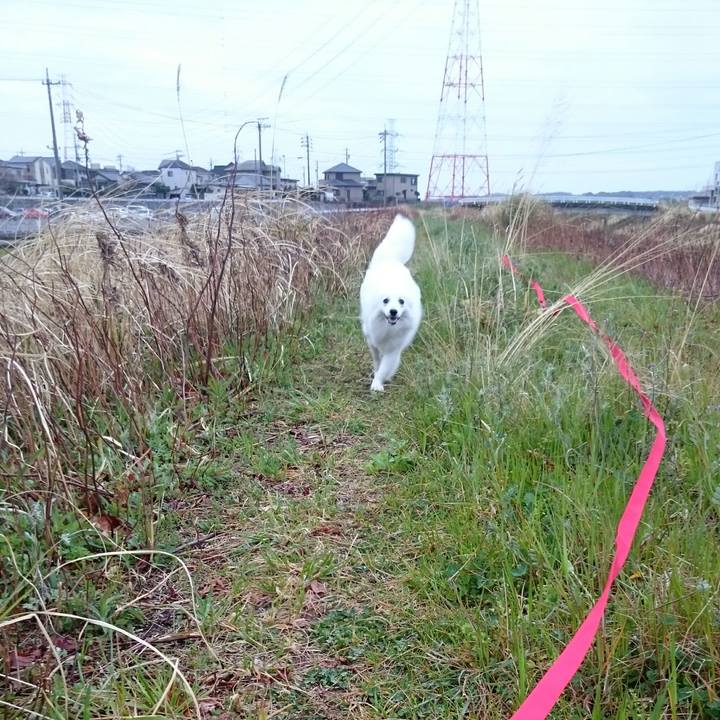 460e1f5f b51e 484c 937b bdfebaf0b0ee