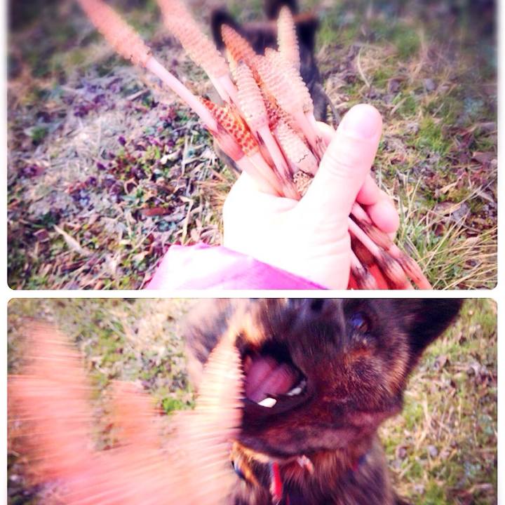 460f5472 35ca 46b5 ae7c cf79bd7747de