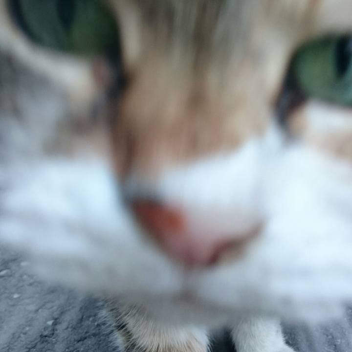 460fa082 a571 4391 ba9a ae0c49bdff20