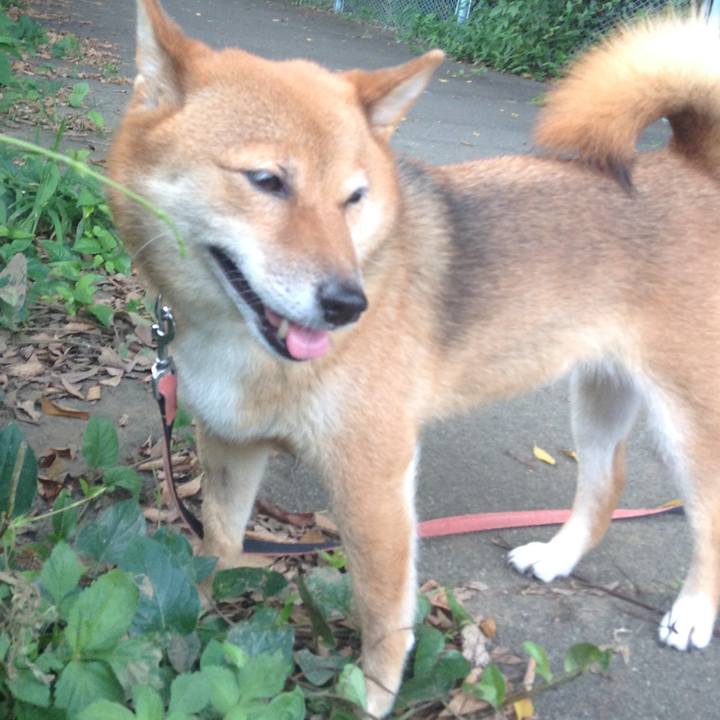 460fd377 895b 456f 943a beb5b49e71cb