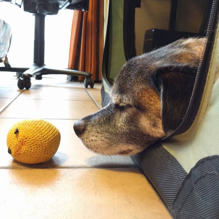 461092ba 1582 46d6 a4e1 7dc3c5b18d5c