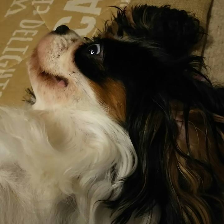 46109796 06a9 4f59 9ae0 20cd4bcb0a1b