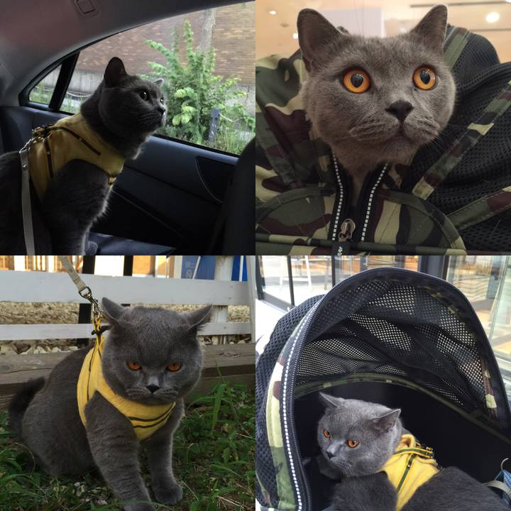 4610b83c c4e3 4d94 8d45 1a15d66e7f00