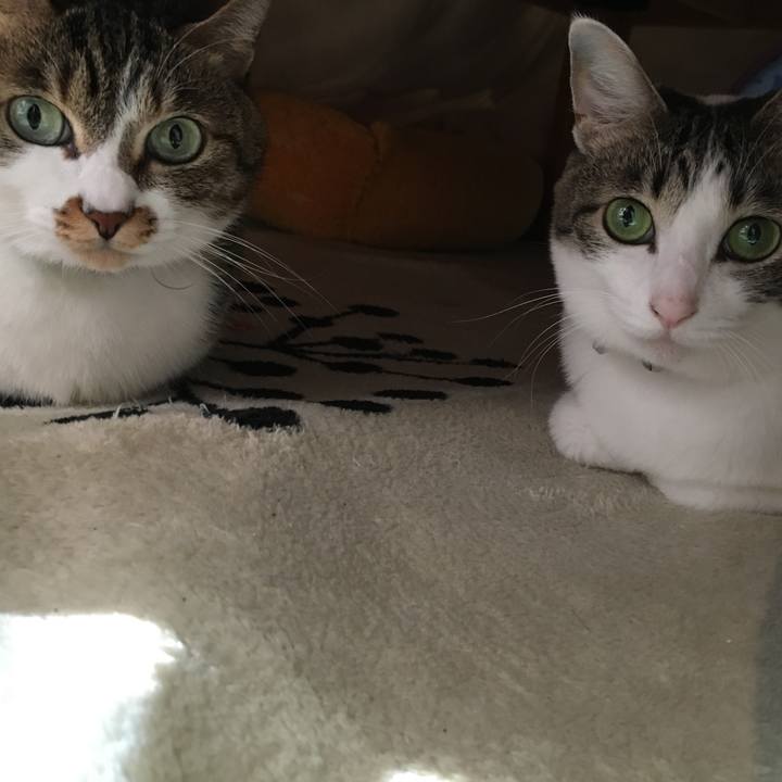 46111a7b dc32 48ab aa75 a35e23d5e9b0