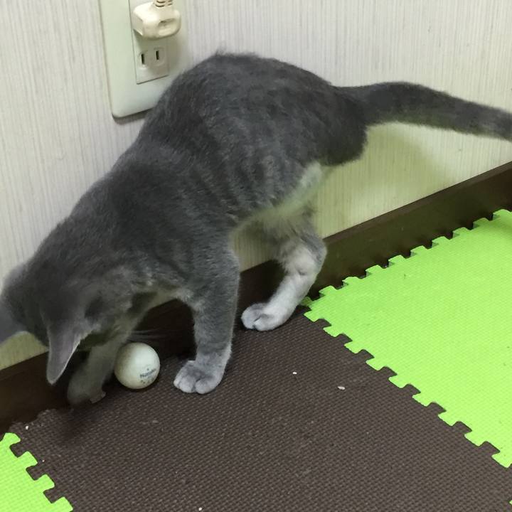 46116af1 2555 4aed 8551 a97b369daa1a