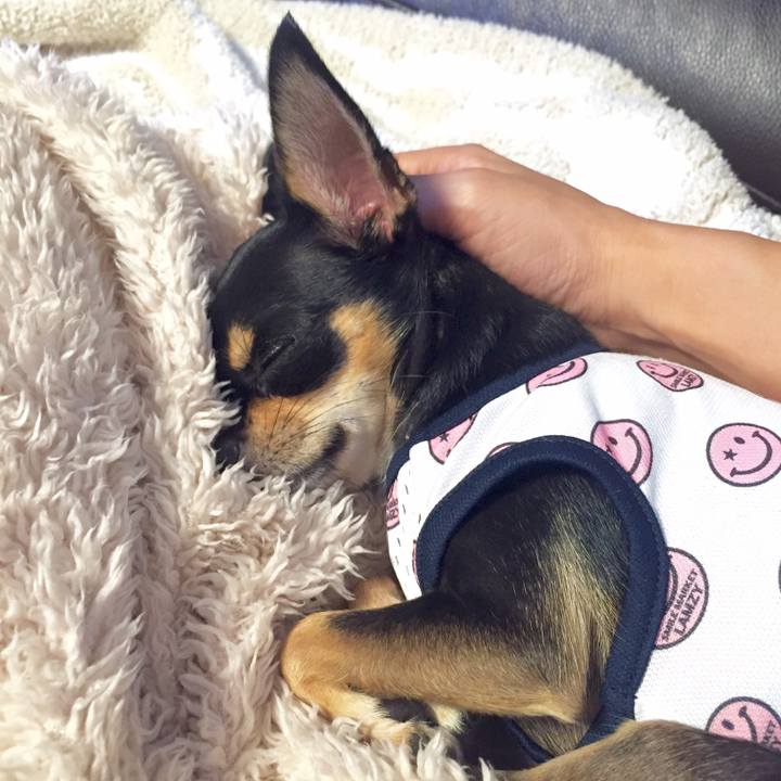 461266fd e91d 4bd1 a7c8 b9154cb378ab