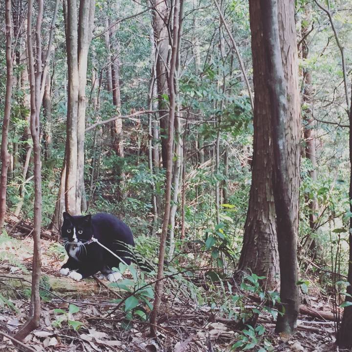 4612c51c 41e5 4387 a7c9 4100b95c567c