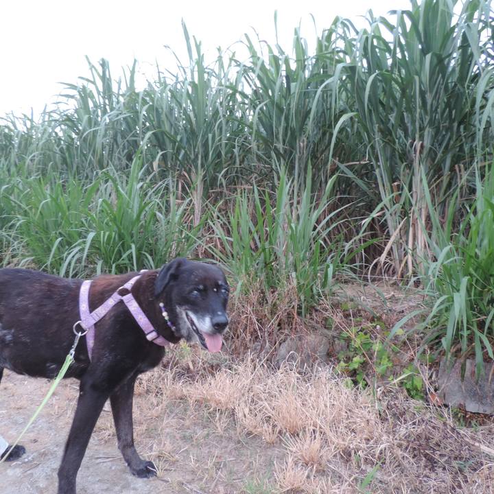 4612d3a1 2307 499d b18a 2883a8a31ea1