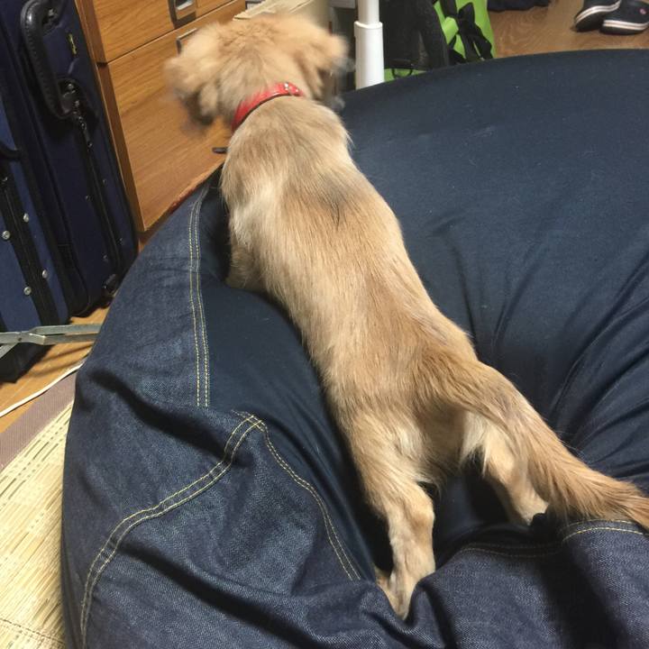 4612ddcf 1f50 42f3 abc2 c5983106a89e