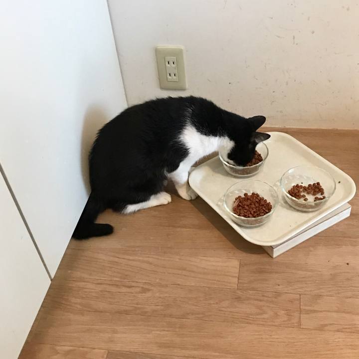 4612faf7 5786 439a 80f7 9da5c29fef41