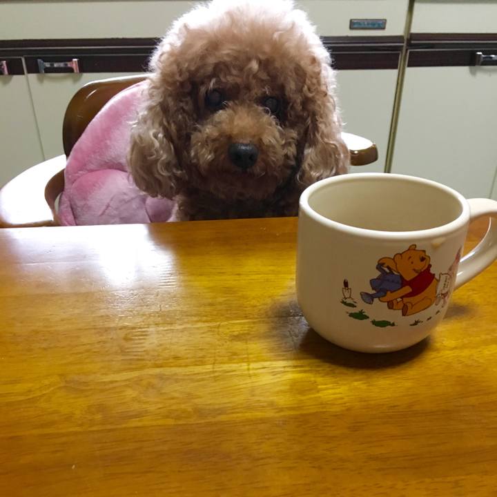 46131dee 5d37 4f8f a7c9 d125f26b025d