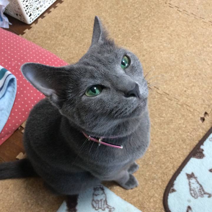 46134642 e00d 40b8 b9f7 1e167513e299