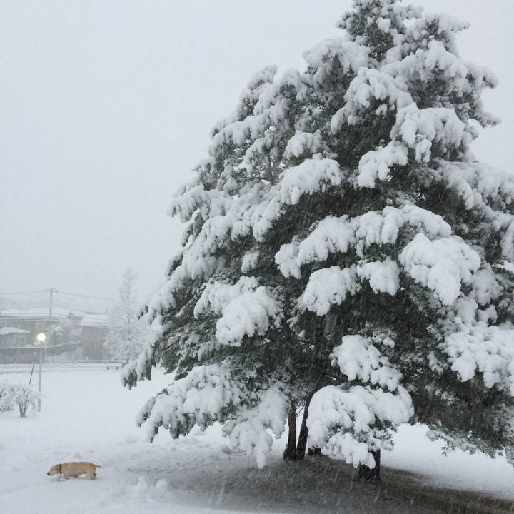 461405e5 525d 43d6 af6a 9241bb3ddb0a