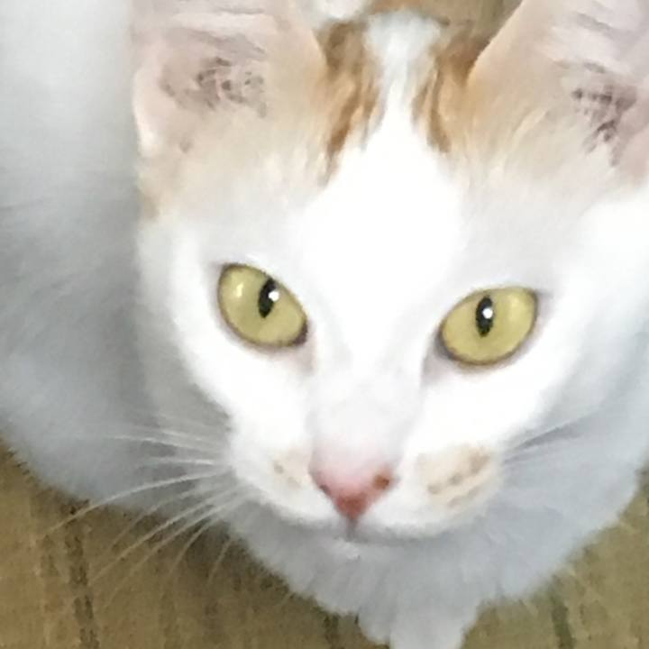 461452ad 5b50 4dcd 9109 0482e46cdd6f