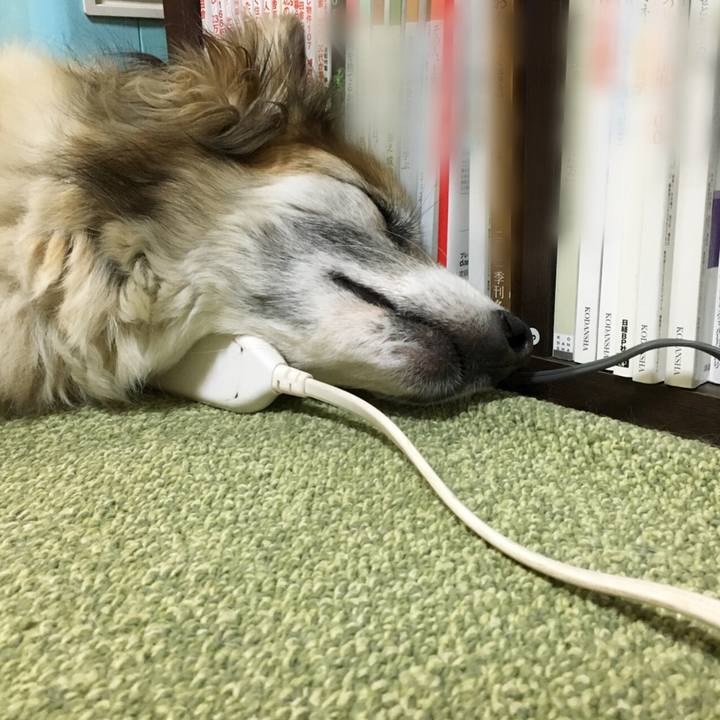 4614eb80 bd20 4239 9d19 e3c59305ef74